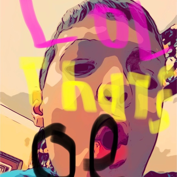 Martha Stewart Light-Up Magic Spell Book Witch Skull Potion Halloween - Picture 8 of 12